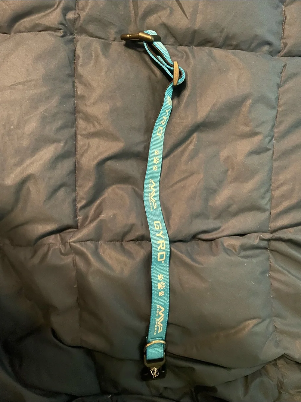 Teal Dog Collar with Wave Logo